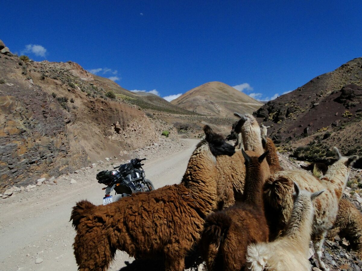 motorcycle tours argentina